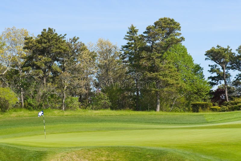 Verde Que Pone Con El Indicador