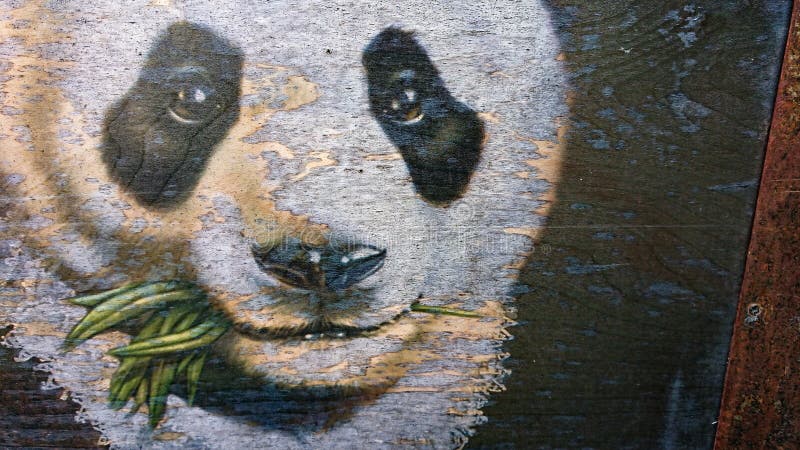 Verdes blancos de la consumición del oso polar de la cara fotografía de archivo Verdes blancos de la consumición del oso polar de la cara fotografía de archivo