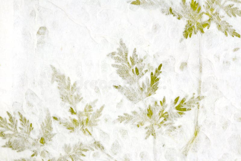Vegetación en papel artesanal fotografía de archivo libre de regalías