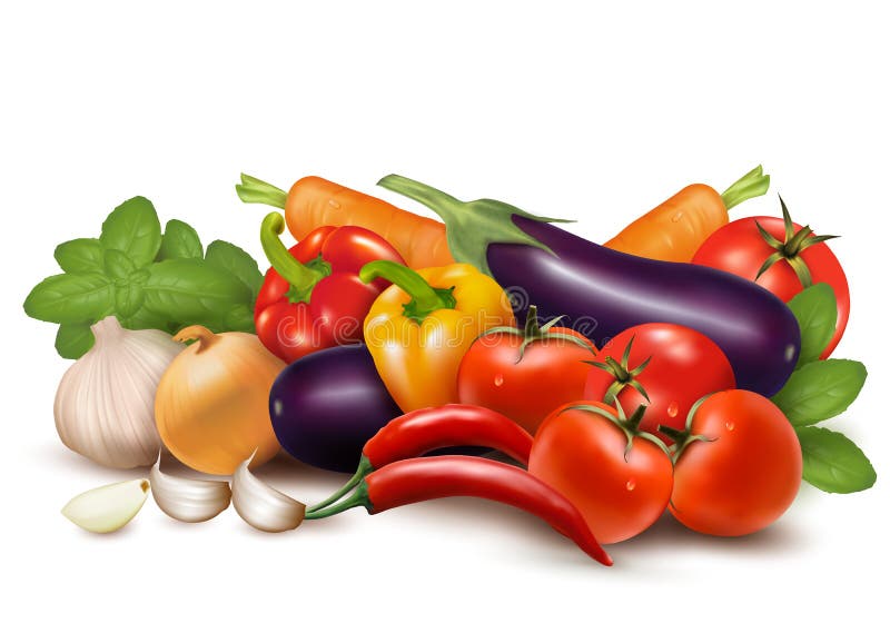 Verdura fresca con il cibo sano dei fogli illustrazione vettoriale