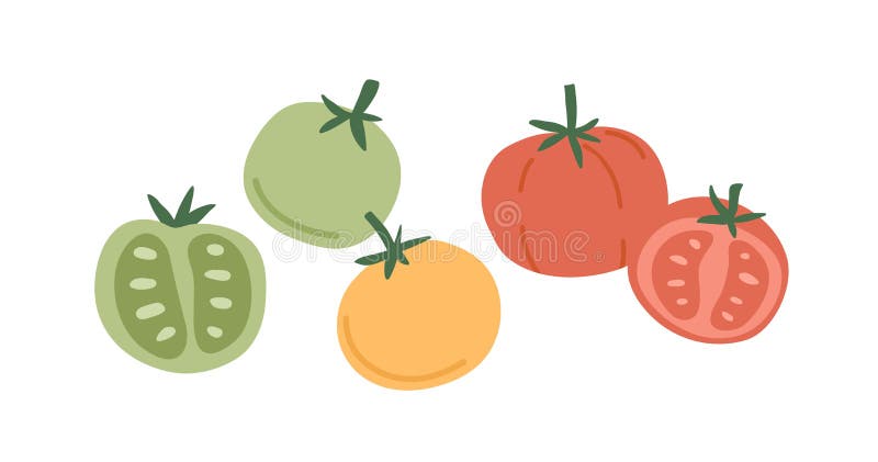 Verduras de tomate entero frescas y sus medias trozos cortados de diferente color. composición de verduras rojas verdes y amarilla ilustración del vector