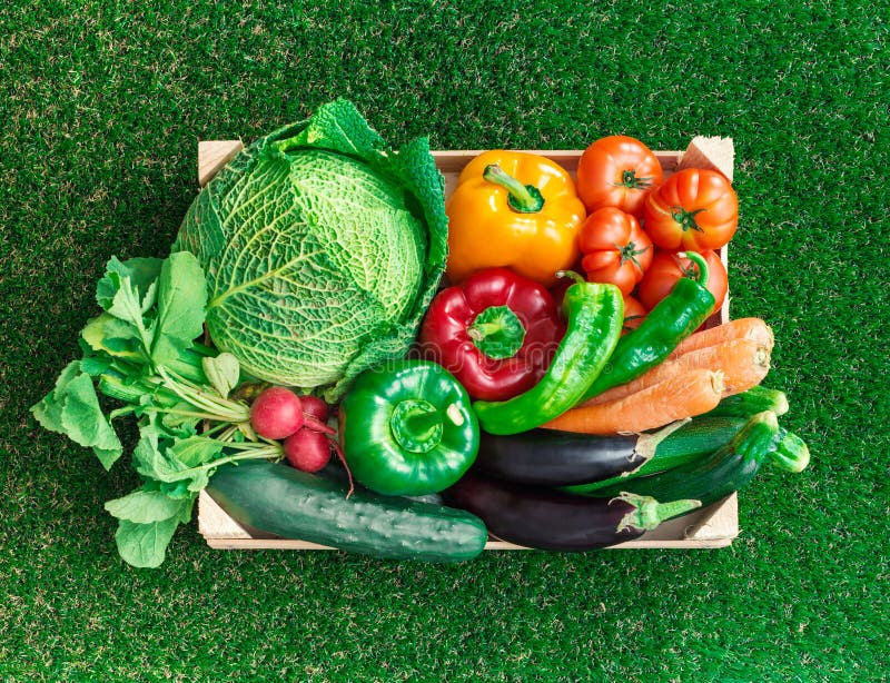 Verduras recién cosechadas en una caja de madera sobre la hierba imagenes de archivo