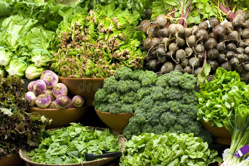 Group of Veggies (Romaine, Broccoli, Turnip, Beets, Spinach/ Baby Spinach, Bib Lettuce, Green onions). Group of Veggies (Romaine, Broccoli, Turnip, Beets, Spinach/ Baby Spinach, Bib Lettuce, Green onions)