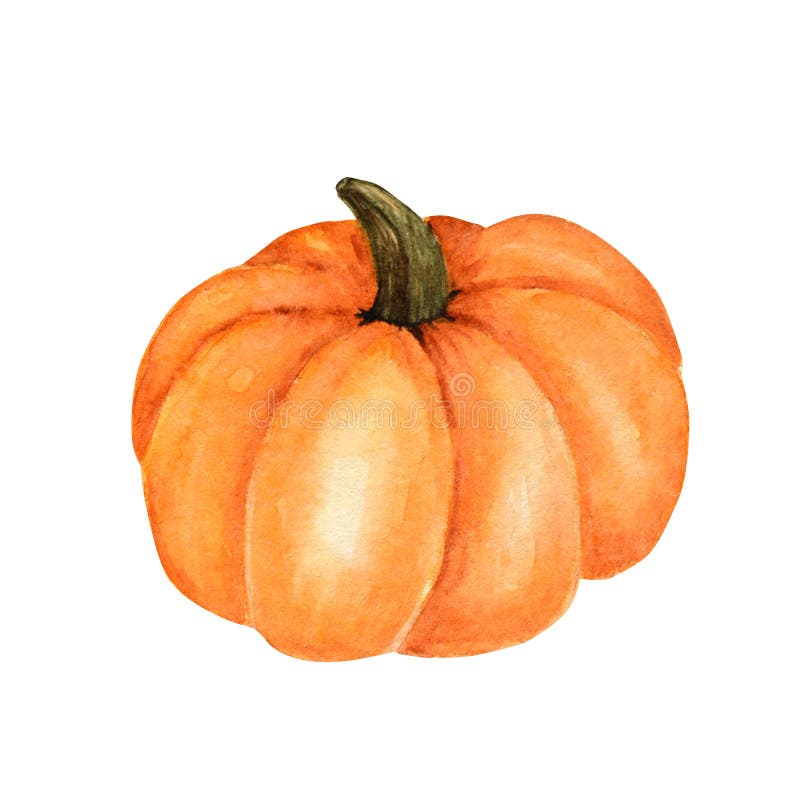 Verdure dipinte acquerello Elementi freschi disegnati a mano di progettazione della zucca dell'alimento del vegano isolati su fon fotografia stock Verdure dipinte acquerello Elementi freschi disegnati a mano di progettazione della zucca dell'alimento del vegano isolati su fon fotografia stock