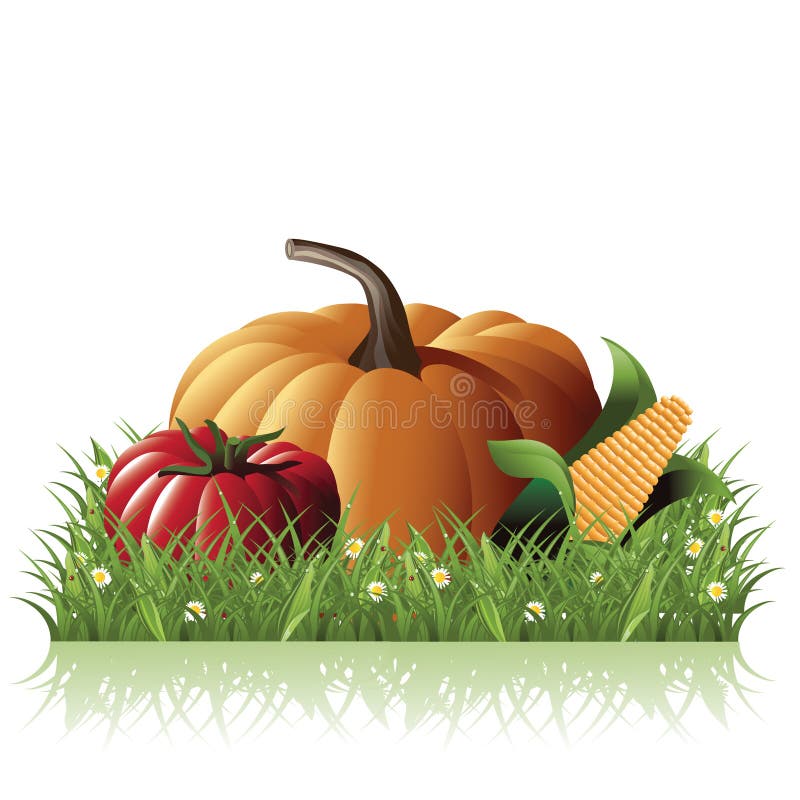 Verdure fresche del giardino nell'erba illustrazione di stock