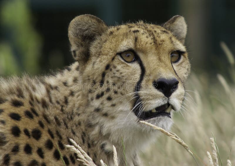 On The Verge stock photos