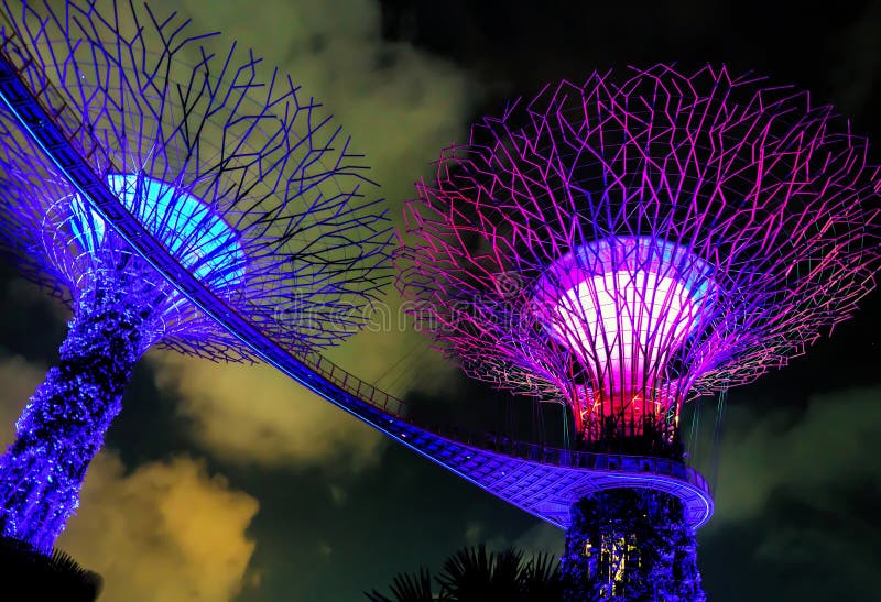 Verger de Supertree dans les jardins par la baie à Singapour photo libre de droits Verger de Supertree dans les jardins par la baie à Singapour photo libre de droits