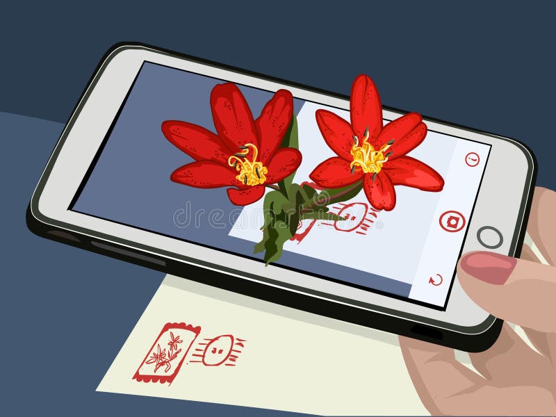 Vergrote werkelijkheid AR De bloemen worden omvangrijk wanneer u de telefoon op het beeld zet Prentbriefkaar aan een vrouw met ze stock illustratie Vergrote werkelijkheid AR De bloemen worden omvangrijk wanneer u de telefoon op het beeld zet Prentbriefkaar aan een vrouw met ze stock illustratie