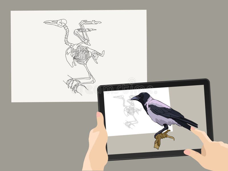 Vergrote werkelijkheid AR Het vogel` s skelet wordt aangevuld door een echt beeld op het tabletscherm Vector illustratie vector illustratie Vergrote werkelijkheid AR Het vogel` s skelet wordt aangevuld door een echt beeld op het tabletscherm Vector illustratie vector illustratie