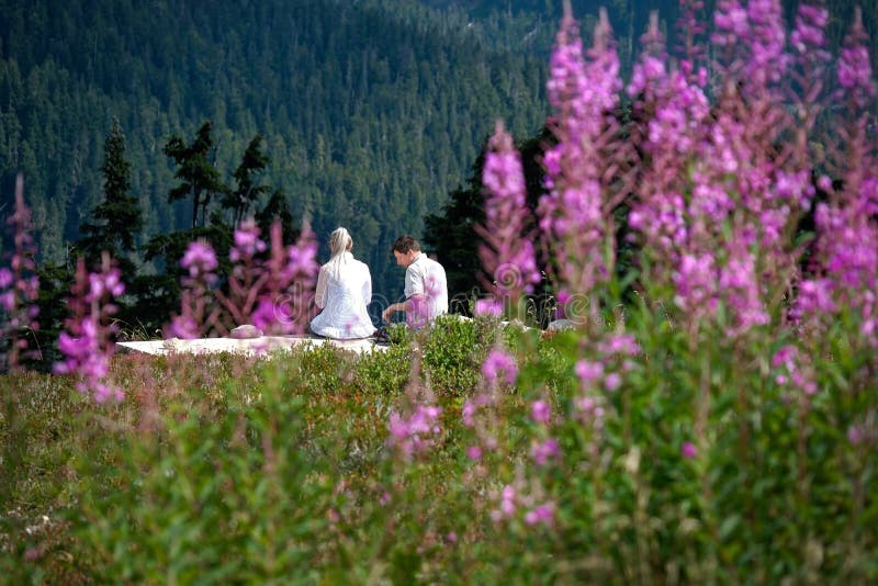 Verheiratetes Paar im Urlaub, das unter den Wildflowers zu Mittag essen am warmen Sommertag sitzt lizenzfreie stockfotografie Verheiratetes Paar im Urlaub, das unter den Wildflowers zu Mittag essen am warmen Sommertag sitzt lizenzfreie stockfotografie