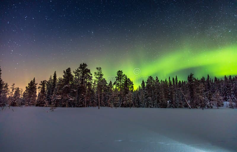 Verkligt nordliga ljus eller norrsken ovanför den snöig skogen royaltyfri fotografi Verkligt nordliga ljus eller norrsken ovanför den snöig skogen royaltyfri fotografi