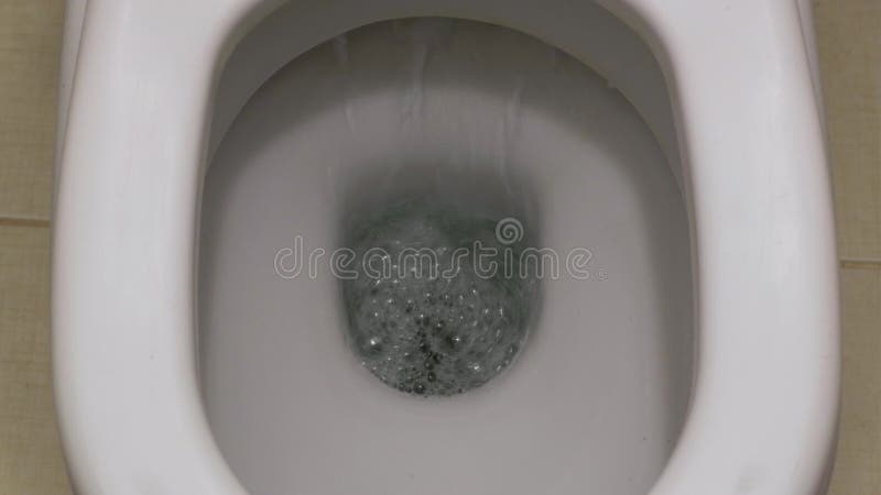 Verktygslåda, rensad övervy Nära vy av vatten som spolas ner i toalettskålen i vilorum