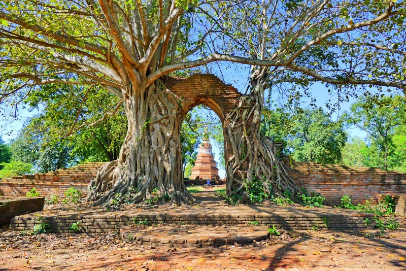 Verlaten Oude Boeddhistische Tempelruïnes van Wat Phra Ngam van Recente Ayutthaya-Periode in de Historische Stad van Ayutthaya, T stock afbeeldingen Verlaten Oude Boeddhistische Tempelruïnes van Wat Phra Ngam van Recente Ayutthaya-Periode in de Historische Stad van Ayutthaya, T stock afbeeldingen