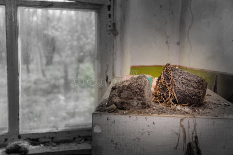 Verlaten ruimte na de ramp Het speelgoed van kinderen in het vuil in een verlaten kleuterschool in Tchernobyl royalty-vrije stock afbeeldingen Verlaten ruimte na de ramp Het speelgoed van kinderen in het vuil in een verlaten kleuterschool in Tchernobyl royalty-vrije stock afbeeldingen