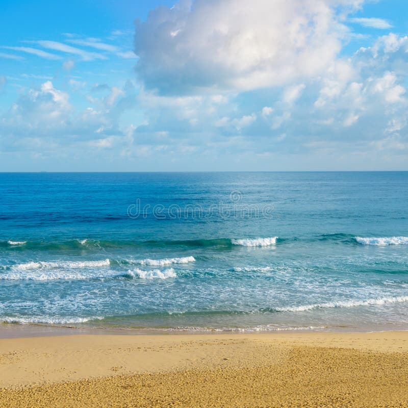 Verlaten zandig strand van de Indische Oceaan In blauwe hemelcumulu royalty-vrije stock afbeeldingen Verlaten zandig strand van de Indische Oceaan In blauwe hemelcumulu royalty-vrije stock afbeeldingen