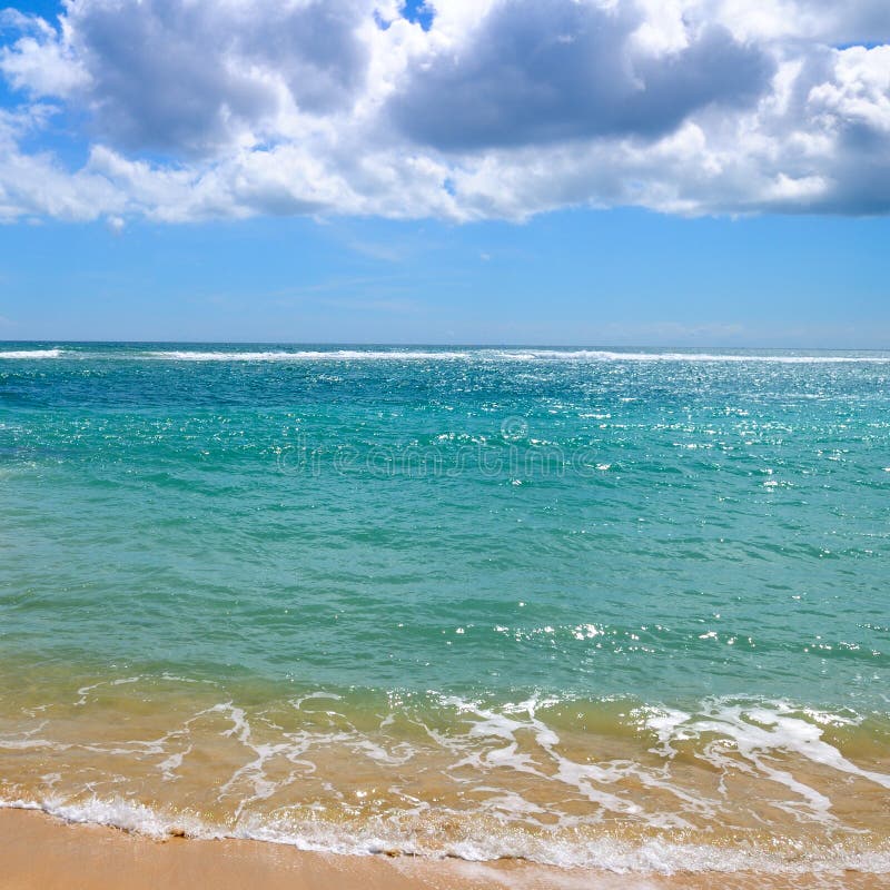 Verlaten zandig strand van de Indische Oceaan In blauwe hemelcumulu stock foto Verlaten zandig strand van de Indische Oceaan In blauwe hemelcumulu stock foto