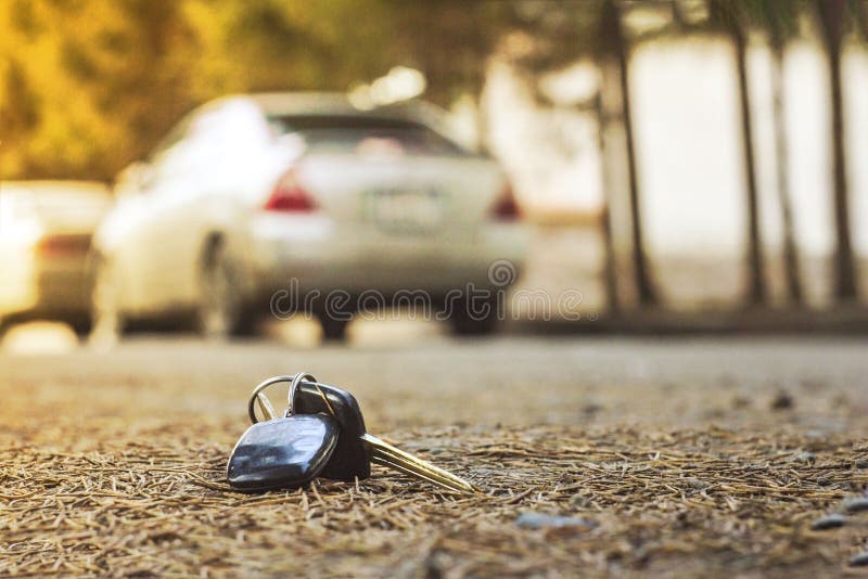 Verlorene Autoschlüssel auf den gefallenen Nadeln der Blautanne hinteres Unschärfehintergrund bokeh lizenzfreie stockbilder Verlorene Autoschlüssel auf den gefallenen Nadeln der Blautanne hinteres Unschärfehintergrund bokeh lizenzfreie stockbilder