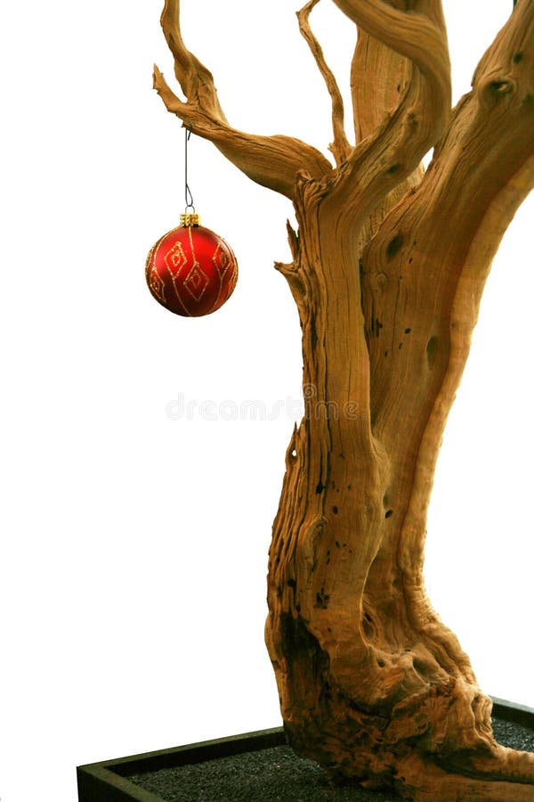 Tree old bark wood christmas planter red ornament holiday festive noel. Tree old bark wood christmas planter red ornament holiday festive noel