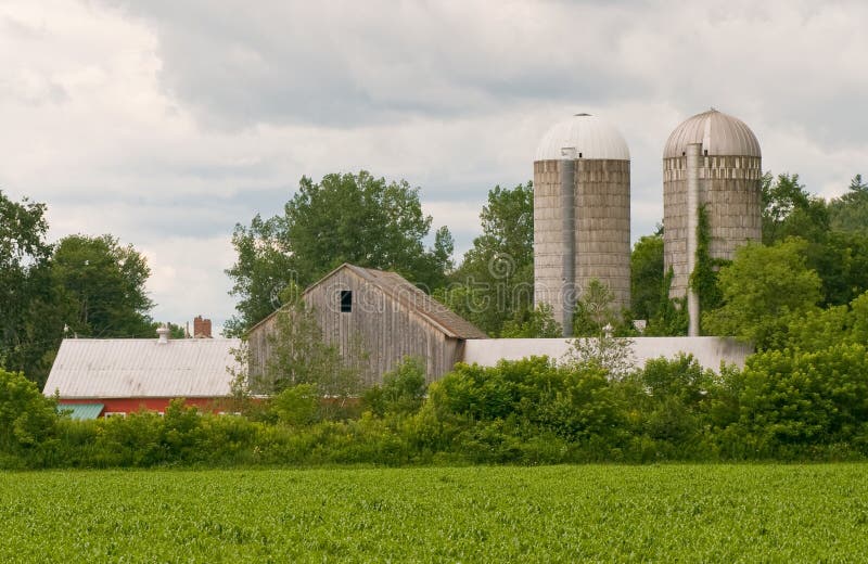Barns and Silo on Dairy Farm Stock Photo Image of structure, dairy 6274964