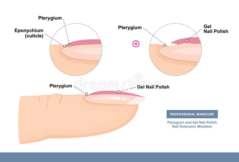 Peinture De Mains Femelles Et Ongles De Polissage Concept De Manucure  Illustration De Vecteur De Doodle Vecteurs libres de droits et plus  d'images vectorielles de Cartoon - iStock