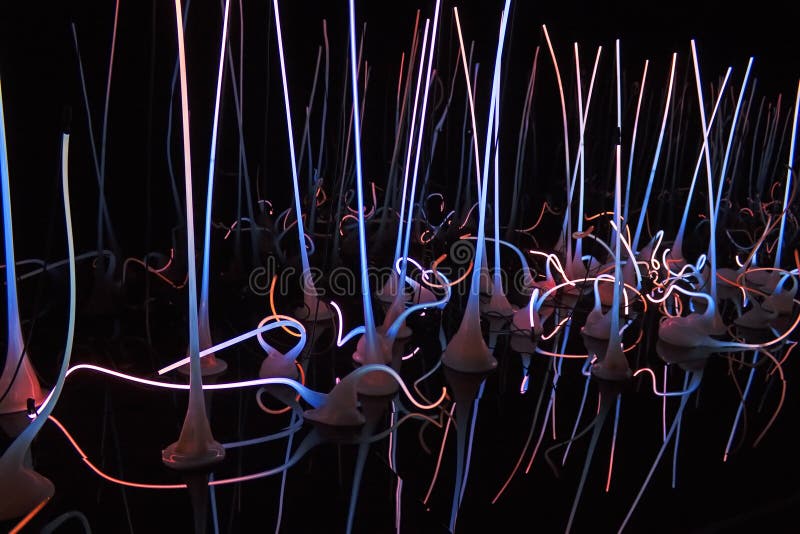 Verre de Chihuly, Seattle, Washington photo libre de droits Verre de Chihuly, Seattle, Washington photo libre de droits