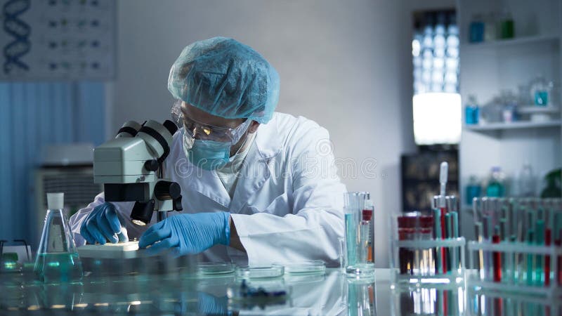Verre de examen de laboratoire de technicien de laboratoire médical avec l'échantillon par le microscope photos stock Verre de examen de laboratoire de technicien de laboratoire médical avec l'échantillon par le microscope photos stock