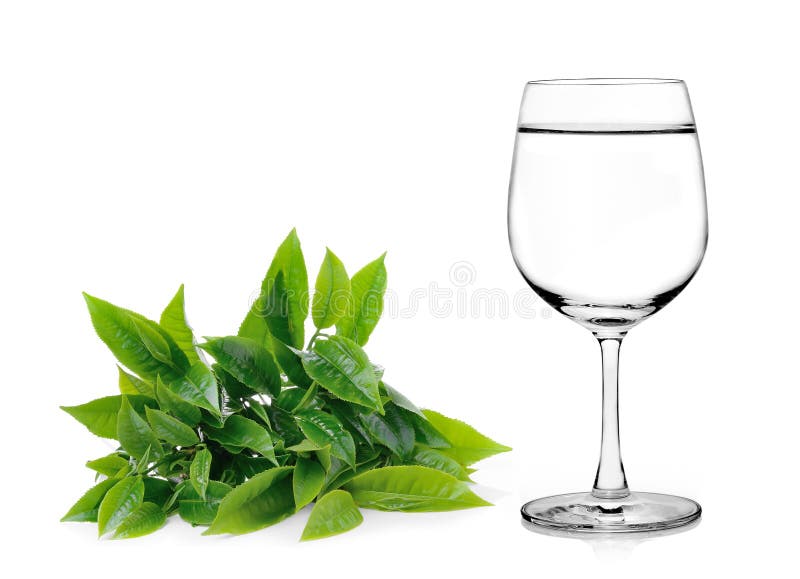 Verre de l'eau et de feuilles de thé sur le fond blanc