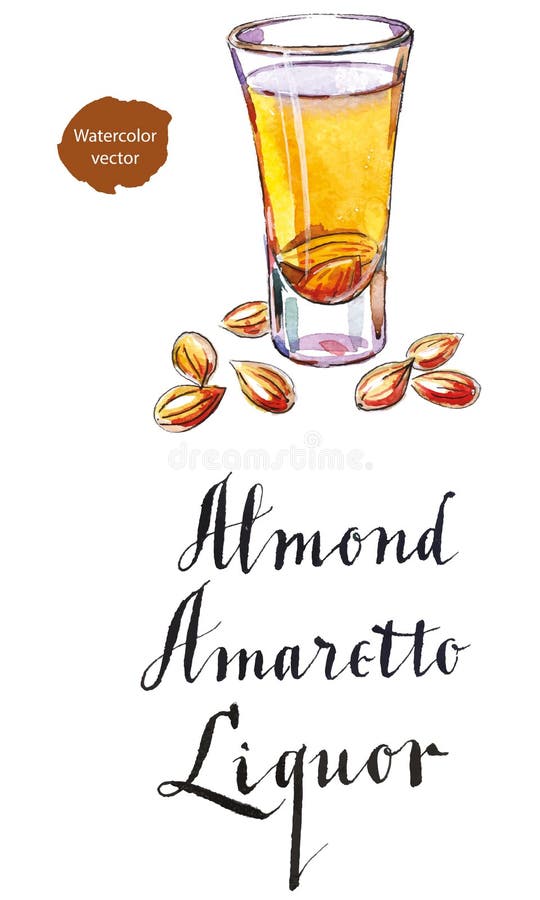 Wineglass of almond liquor amaretto, hand drawn - watercolor vector Illustration. Wineglass of almond liquor amaretto, hand drawn - watercolor vector Illustration