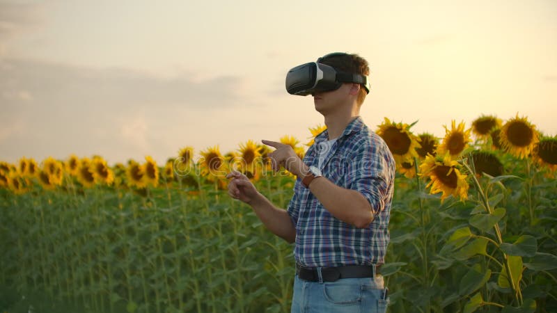 Verres VR pour la modélisation du champ de tournesols