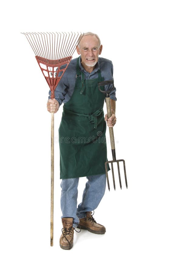 Verrückter Alter Gärtner Mit Gabel Und Rührstange Stockbild Bild von
