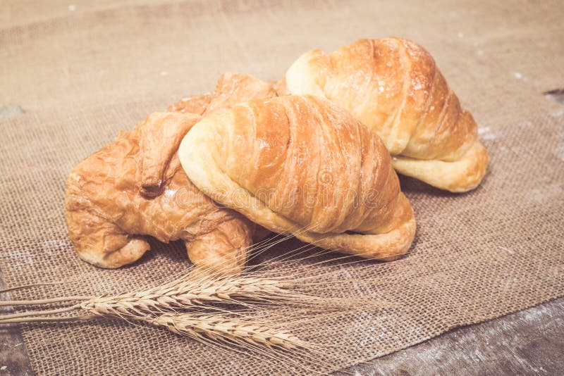 Vers gebakken croissanten stock afbeeldingen Vers gebakken croissanten stock afbeeldingen