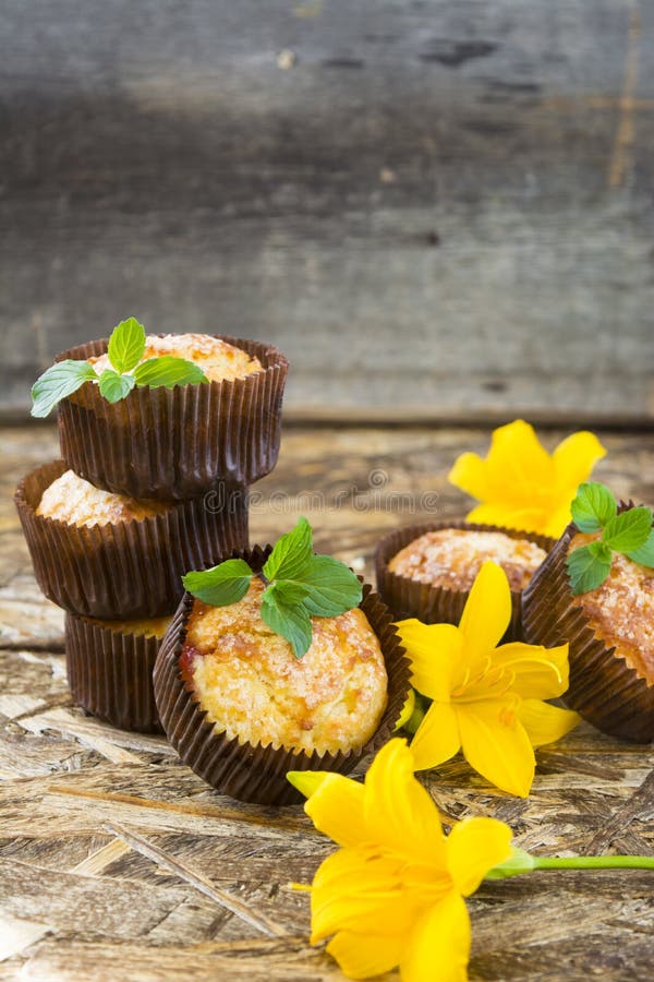 Vers gebakken muffins met pruim, munt en leliebloem stock afbeeldingen Vers gebakken muffins met pruim, munt en leliebloem stock afbeeldingen