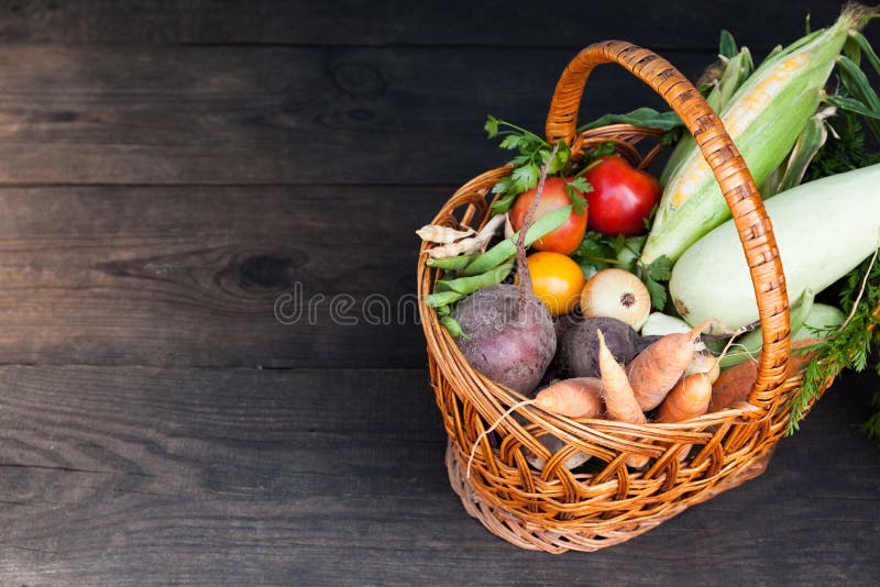 Vers gezond voedsel, ontgiftingsinstallatie Organische detoxoogst royalty-vrije stock afbeeldingen Vers gezond voedsel, ontgiftingsinstallatie Organische detoxoogst royalty-vrije stock afbeeldingen