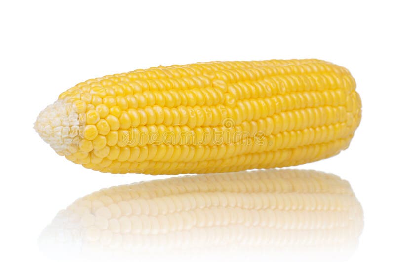 Fresh an ear of corn on a white background. Fresh an ear of corn on a white background