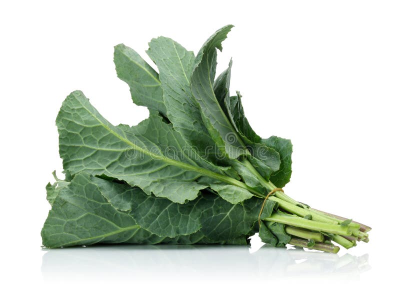 Verse groene koolblad royalty-vrije stock fotografie