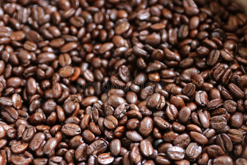 Vers middelgrote geroosterde Arabica koffiebonen royalty-vrije stock afbeelding Vers middelgrote geroosterde Arabica koffiebonen royalty-vrije stock afbeelding