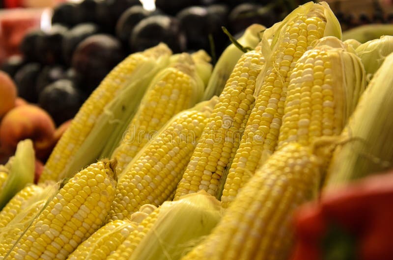 Vers vegtablesgraan van de landbouwersmarkt stock afbeeldingen Vers vegtablesgraan van de landbouwersmarkt stock afbeeldingen