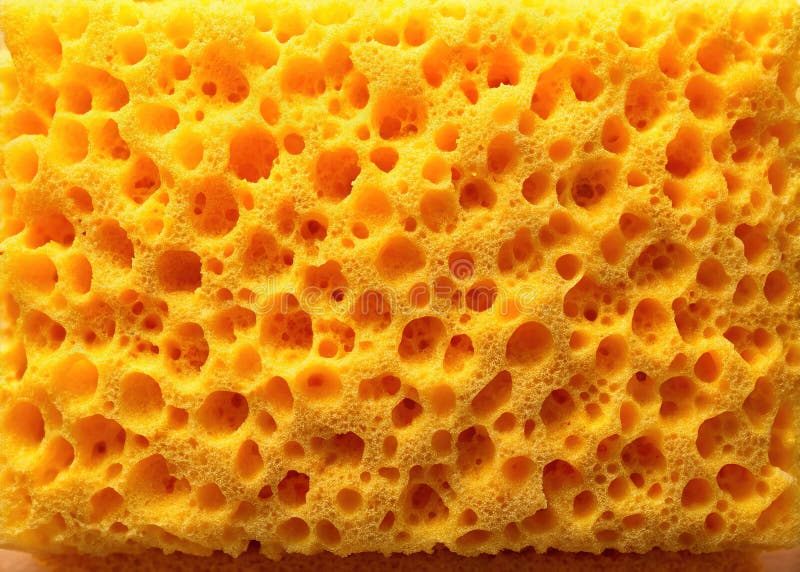 Versatile Sponge Texture Backgrounds Stunning Mockups for Product Displays Fashion and Home Decor vector illustration