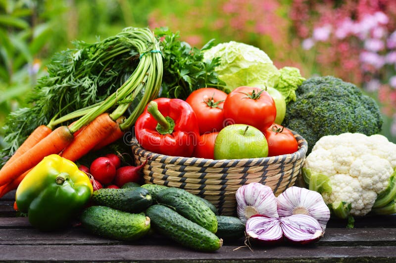 Verscheidenheid van verse organische groenten in de tuin
