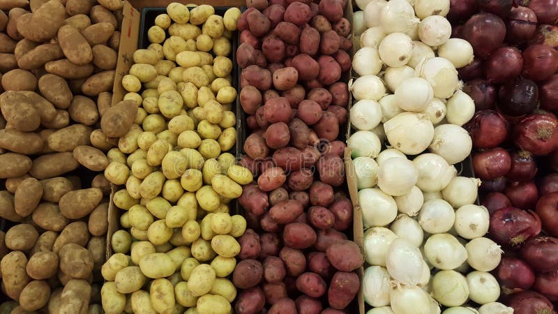Verscheidenheidsaardappels en uien van verschillend soort en kleuren
