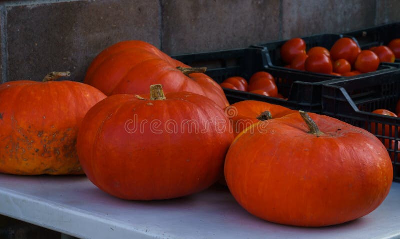 Verschiedene Kürbissorten auf dem Bauernmarkt stockbilder Verschiedene Kürbissorten auf dem Bauernmarkt stockbilder