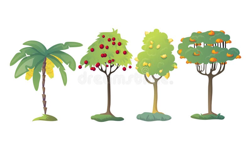 Verschiedene Obstbaume Mit Starker Baum Krone Und Frucht Vektor Satz Vektor Abbildung Illustration Von Starker Krone