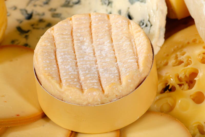 Verschiedene Typen des köstlichen Käses