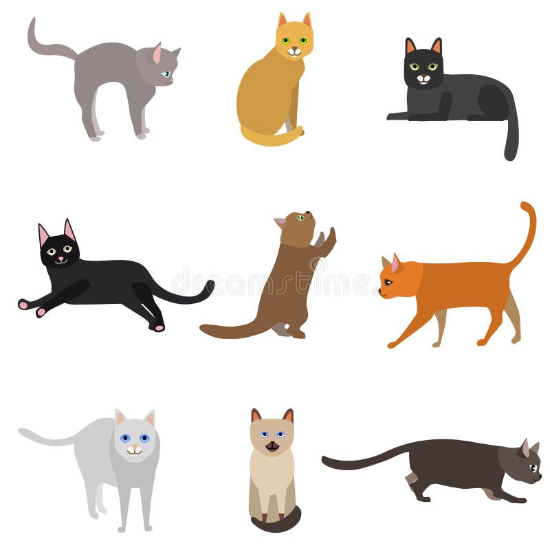Verschillende het beeldverhaal typt Leuke het Pictogramreeks van Kattenkarakters Vector royalty-vrije illustratie Verschillende het beeldverhaal typt Leuke het Pictogramreeks van Kattenkarakters Vector royalty-vrije illustratie