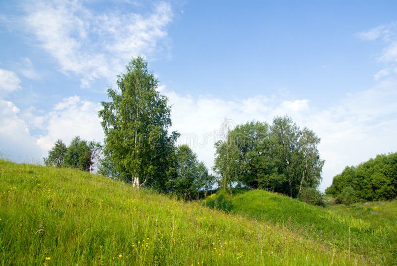 Landschaft mit Bäumen, Gras und blauem Himmel 3 lizenzfreies stockbild