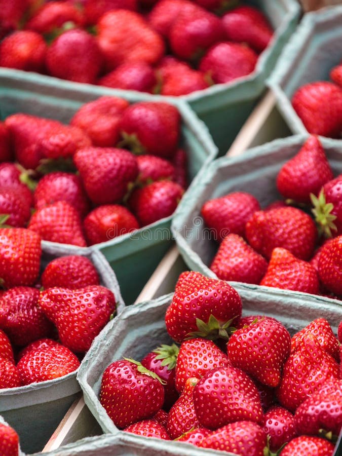 Verse aardbeien voor verkoop op een markt stock afbeelding Verse aardbeien voor verkoop op een markt stock afbeelding