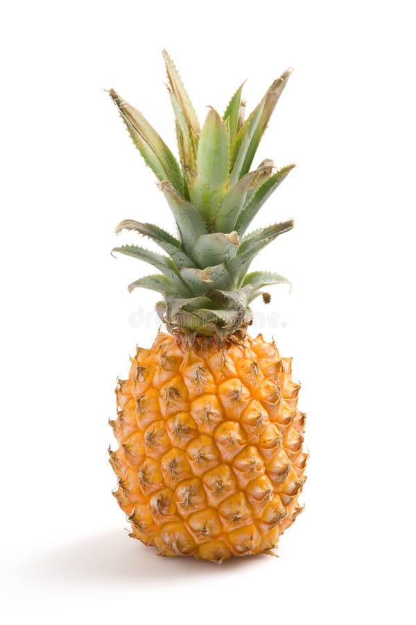 Verse ananas stock foto