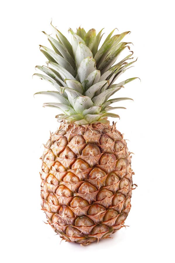 Verse ananas stock foto