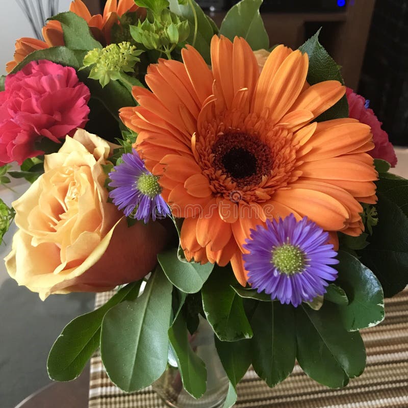 Verse bloemen royalty-vrije stock fotografie