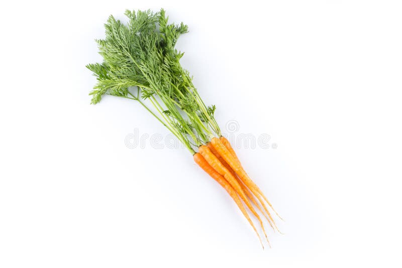 Verse die wortelen op witte achtergrond worden geïsoleerd stock afbeeldingen Verse die wortelen op witte achtergrond worden geïsoleerd stock afbeeldingen